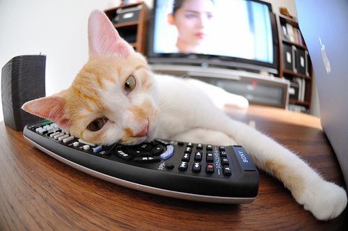 热火轻取黄蜂显沉稳,塔图姆奥运关键战接管,球星双线闪耀背后的篮球新时代